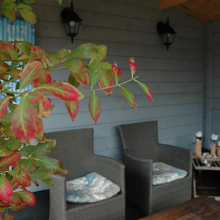 Aangenaam Texel 2 * De Koog (Texel)