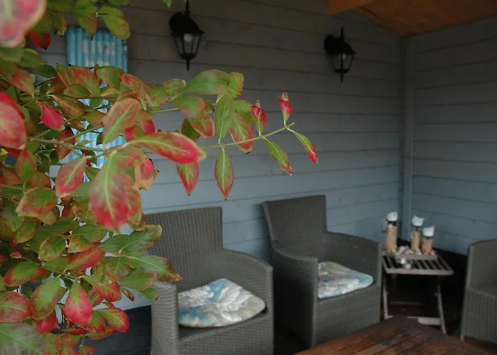 Aangenaam Texel 2 * De Koog (Texel)